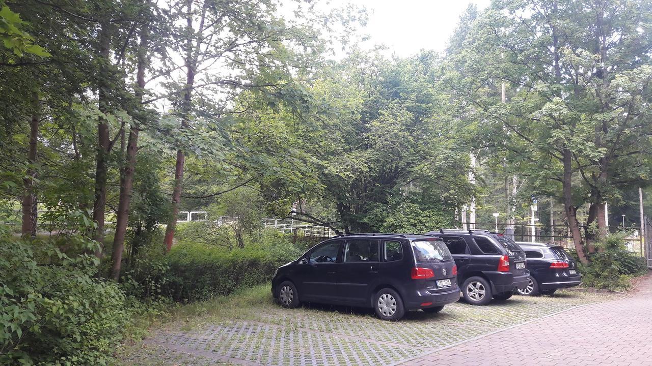 Lesni Pramen